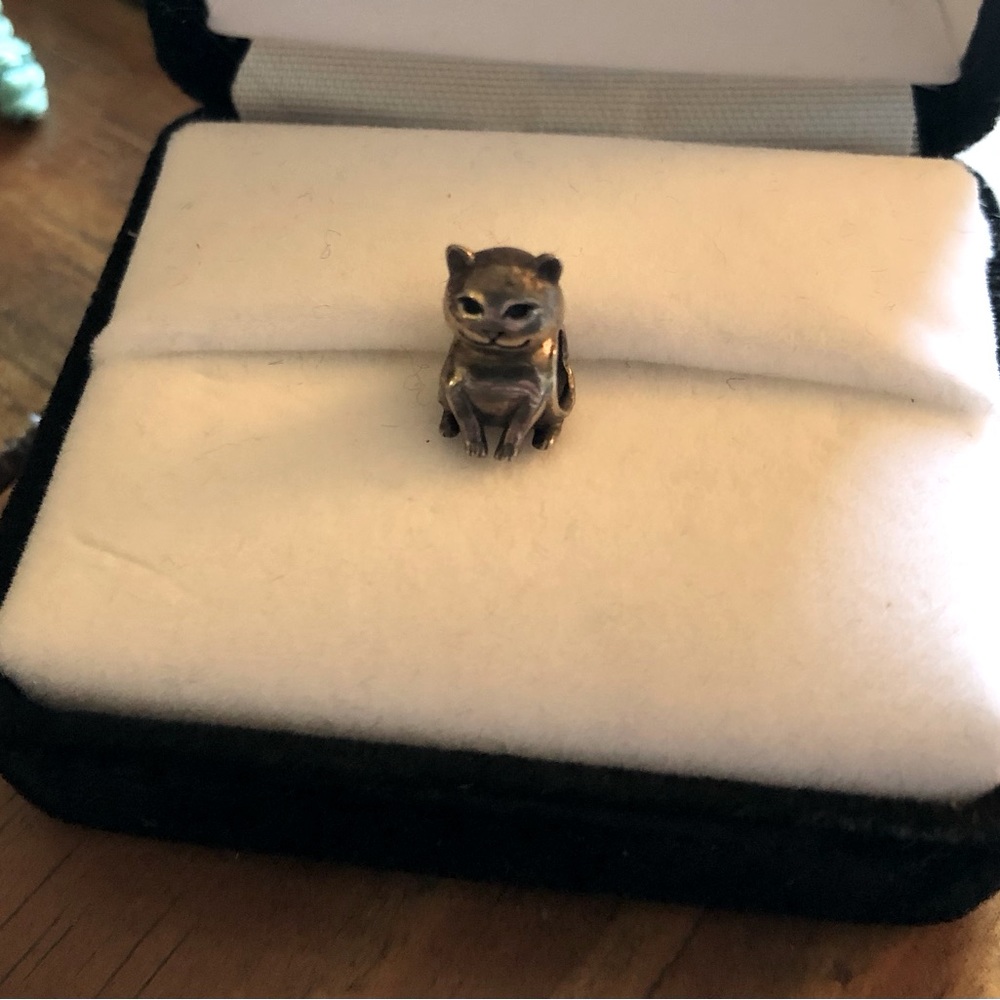 Cat charm